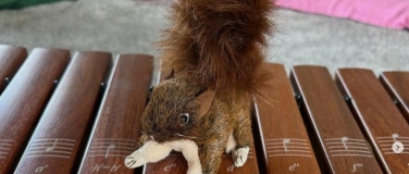 Event-Image for 'Musik-Minis mit Daniela'