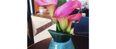 Event-Image for 'REIKI 1 Seminar am Sa 11. April 2026 ️*Mittagessen geschenkt'