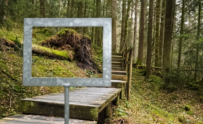 Lebens&uuml;berg&auml;nge als Chance Tickets