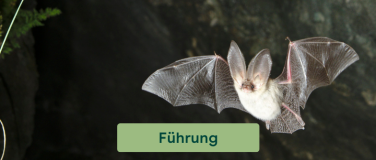 Event-Image for 'Biodiversit&auml;t in der Nacht - Fledermausf&uuml;hrung'