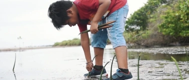 Event-Image for 'In eigener Regie - Muscheln, M&uuml;ll, Mangroven'