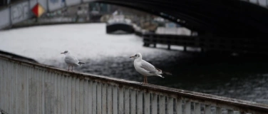 Event-Image for 'On Water – Führung in Deutscher Gebärdensprache (DGS)'