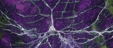 Event-Image for 'SUMS Private Gathering &ndash;Ethereal Unity x No Time For Silence'