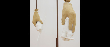 Event-Image for 'Simon Starling  F&uuml;hrung'