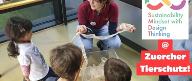 Event-Image for 'Animal Shelter Unique Private Tour'