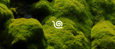 Event-Image for 'Yin Yoga'