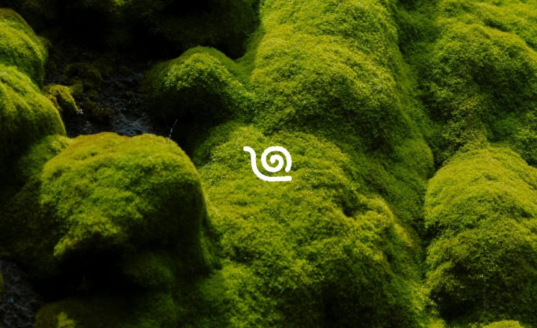 Yin Yoga test Yoga Studio Zürich, Zwinglistrasse 8, 8004 Zürich Tickets