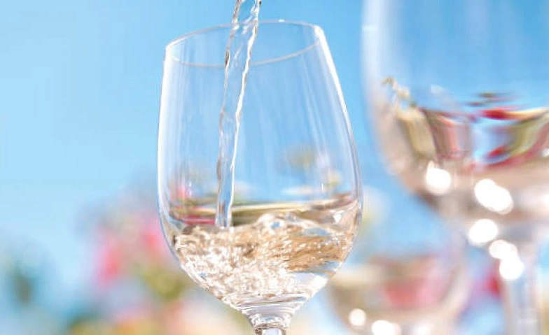 Delinat Sommerfest 2025 Delinat Weindepot, Industriestrasse 78, 4600 Olten Tickets
