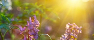 Event-Image for 'Die Kraft der Entspannung'