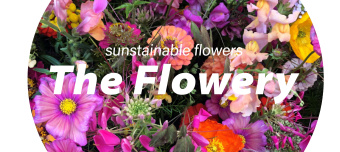 Veranstalter:in von Flower Workshop music, drinks & flowers