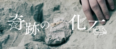 Event-Image for 'Kurzfilm Trifft Sake - Zwischen Bildschirm Und Begegnung'