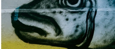 Event-Image for 'Kammerorchester musica movendi - Svensk Musik'