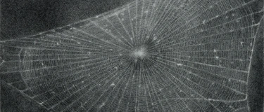 Event-Image for 'Ausstellungsrundgang Englisch «Vija Celmins»'