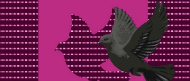 Event-Image for 'BlackBox Jubil&auml;um - Vernissage'