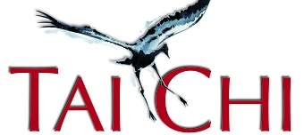 Event organiser of Tai Chi Wochenendkurs