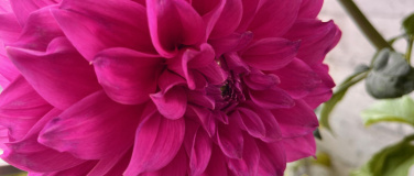 Event-Image for 'Theater der Kulturen'