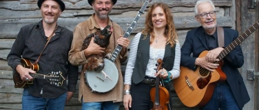 Event-Image for 'Live: The Chicken Ruckus'