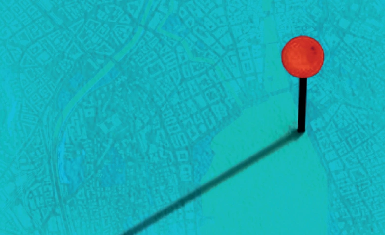 The Shadow of the Fly Tickets