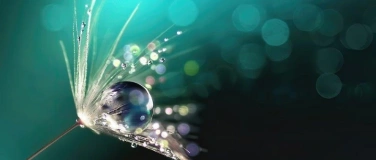 Event-Image for 'Dein SEIN Retreat &ndash; Akasha Chronik im Tirol'