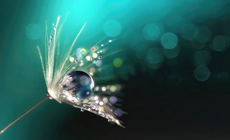 Dein SEIN Retreat &ndash; Akasha Chronik Billets