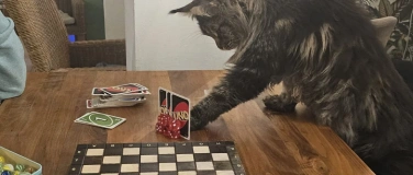 Event-Image for 'Fr&uuml;hlings-Spieleabend mit Katzen & Kaffee'