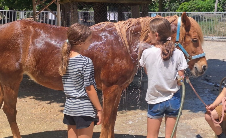 Event-Image for 'Tierpflegewoche (Kursnr. 1.8e)'