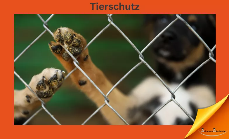 Tierschutz: Rechtliche Grundlagen in der Tierhaltung ArkanumAkademie, Oberrindal 39, 9604 Oberrindal Tickets