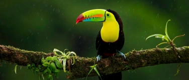 Event-Image for 'Rendez-vous mit der Welt: Von Mexiko nach Panama'