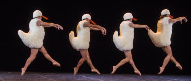 Event-Image for 'TUTU'