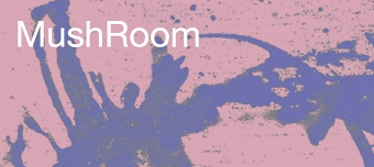 Veranstalter:in von MushRoom &ndash; Winter Edition 2026