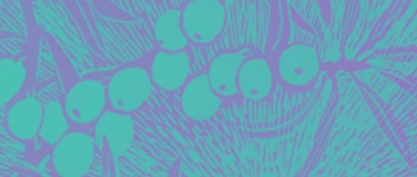 Event-Image for 'SOMMERNACHTSTRAUM - Konzert'