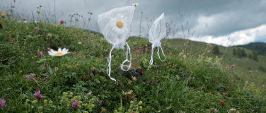 Event-Image for 'Unter Pflanzen'