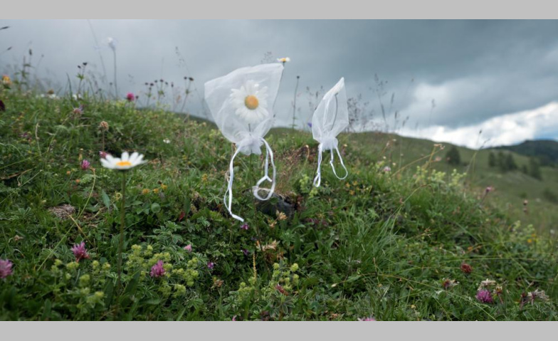 Event-Image for 'Unter Pflanzen'