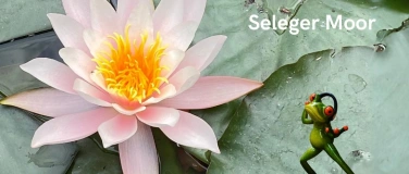 Event-Image for 'Tanzen im Seleger Moor - Azul Conscious Dance in der Natur'