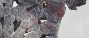 Event-Image for 'Vernissage mit Katharina Bierreth-von Hartungen'