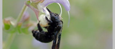Event-Image for 'Vielfalt f&ouml;rdern vor der Haust&uuml;re'