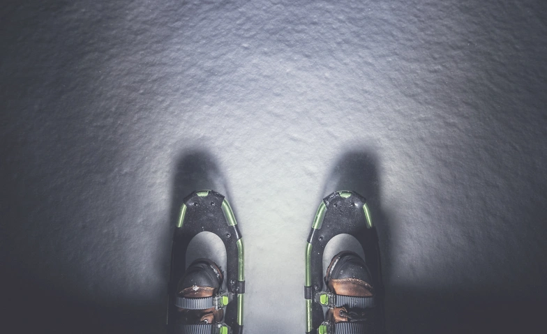 Vollmond-Schneeschuh-Tour Tickets