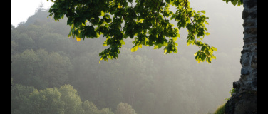 Event-Image for 'Vom Schloss in den Auenwald'