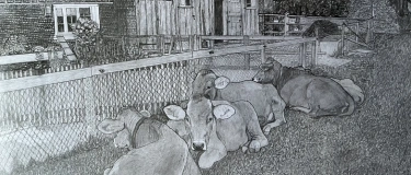 Event-Image for 'Vernissage "Bauernhof - Bergwelt - Bleistift"'