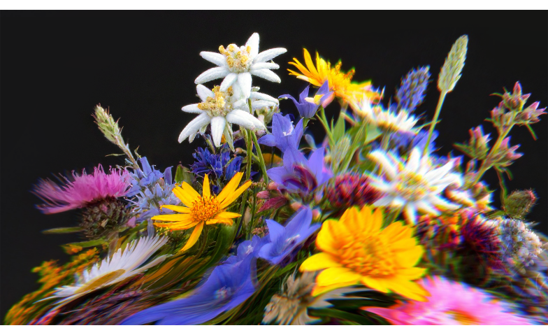 Event-Image for 'Vrenelis Gärtli'