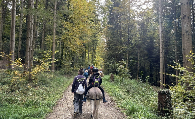 Tierischer Waldspaziergang Tickets