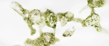 Event-Image for 'Ausstellunggespr&auml;ch mit dem K&uuml;nstler Julian Walss'