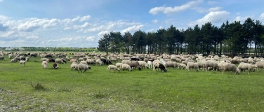 Event-Image for 'Was geschieht auf der Fr&ouml;ttmaninger Heide?'