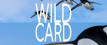 Event-Image for 'Wild Card'