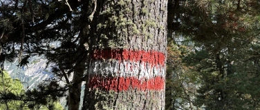 Event-Image for 'Der innere Kompass'