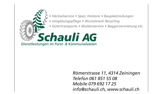 Sponsoring-Logo von Fondue Iglus im AarUfer Wichteldorf Event