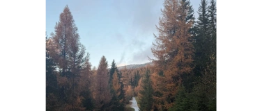 Event-Image for 'Klima-Kino'