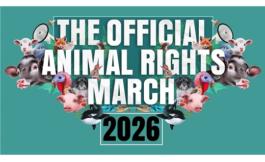 Logo de sponsoring de l'&eacute;v&eacute;nement Kick-Off Brunch Animal Rights March 2026
