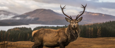 Event-Image for 'Wild - Halb so wild!'