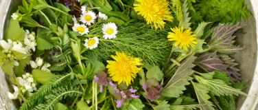 Event-Image for 'Kr&auml;uterexkursion mit Heidi Leutwyler'